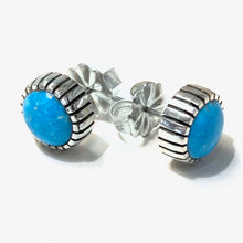 Load image into Gallery viewer, Sleeping Beauty Studs<br>By Craig Agoodie