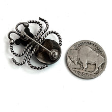 Load image into Gallery viewer, Vintage Bug Pin
