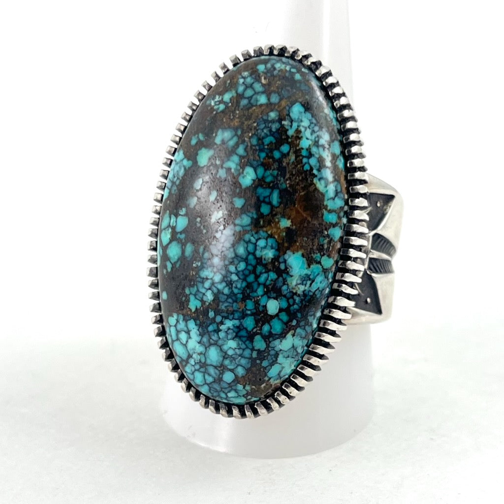 Turquoise Mountain<br>By Jennifer Curtis<br>Size: 11